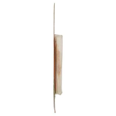 8 in 1 Delights 3lü Stick Ağız Temizleme Kemiği 75 GR - 2