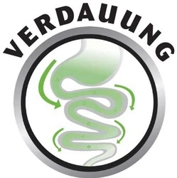 8 in 1 Fillets Pro Digest Sindirim Destekleyici Köpek Ödülü 80 GR - 4