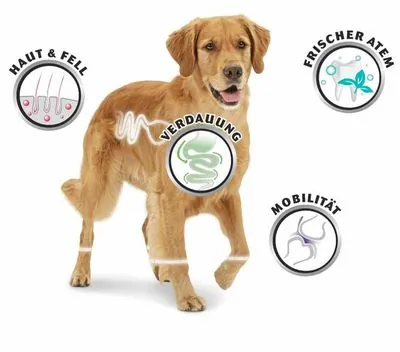 8 in 1 Fillets Pro Digest Sindirim Destekleyici Köpek Ödülü 80 GR - 5