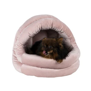 ​​​​Lion Deniz Kabuğu Kedi ve Köpek Yatağı Turkuaz - 2