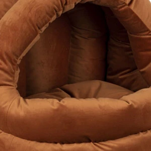 Lion Deniz Kabuğu Kedi ve Köpek Yatağı Turuncu - 2