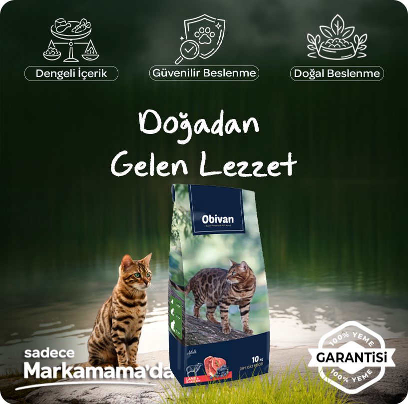 kuzu-etliyaban-mersinli-kedi-maması--aplus-mobil.jpg