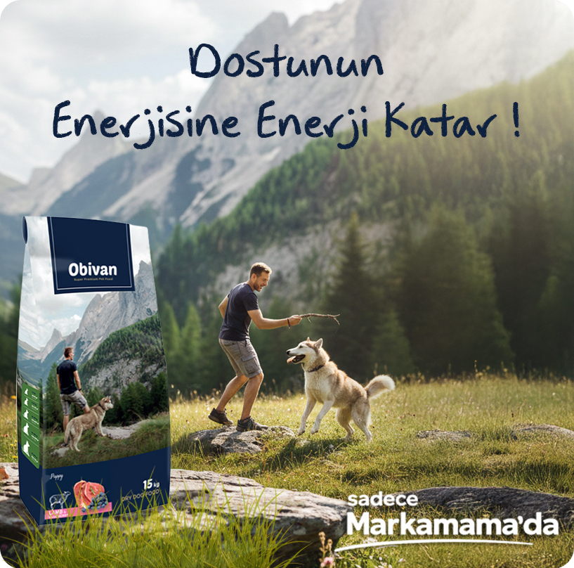 Puppy-köpek-maması--a-2mobil.jpg