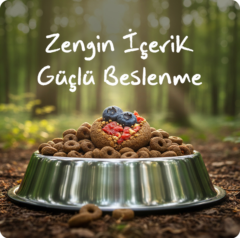 obivan-kuzuyaban-mersini-kedi-maması--a-3-mobil.jpg