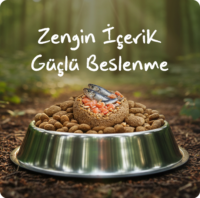 obivan-somonhamsi-kedi-maması--a-3-mobil.jpg