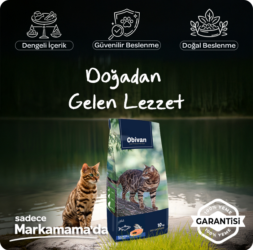 obivan-somonhamsi-kedi-maması--aplus-mobil.jpg