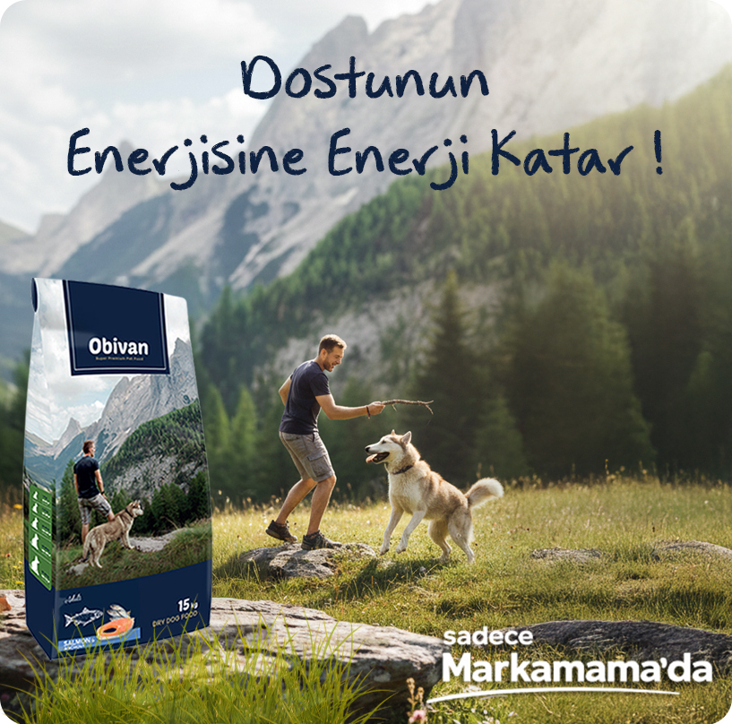 obivan-somonlu-hamsili-köpek-maması--a-2mobil.jpg