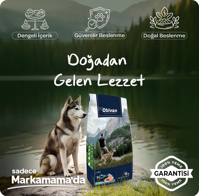 obivan-somonlu-hamsili-köpek-maması--aplus-mobil.jpg