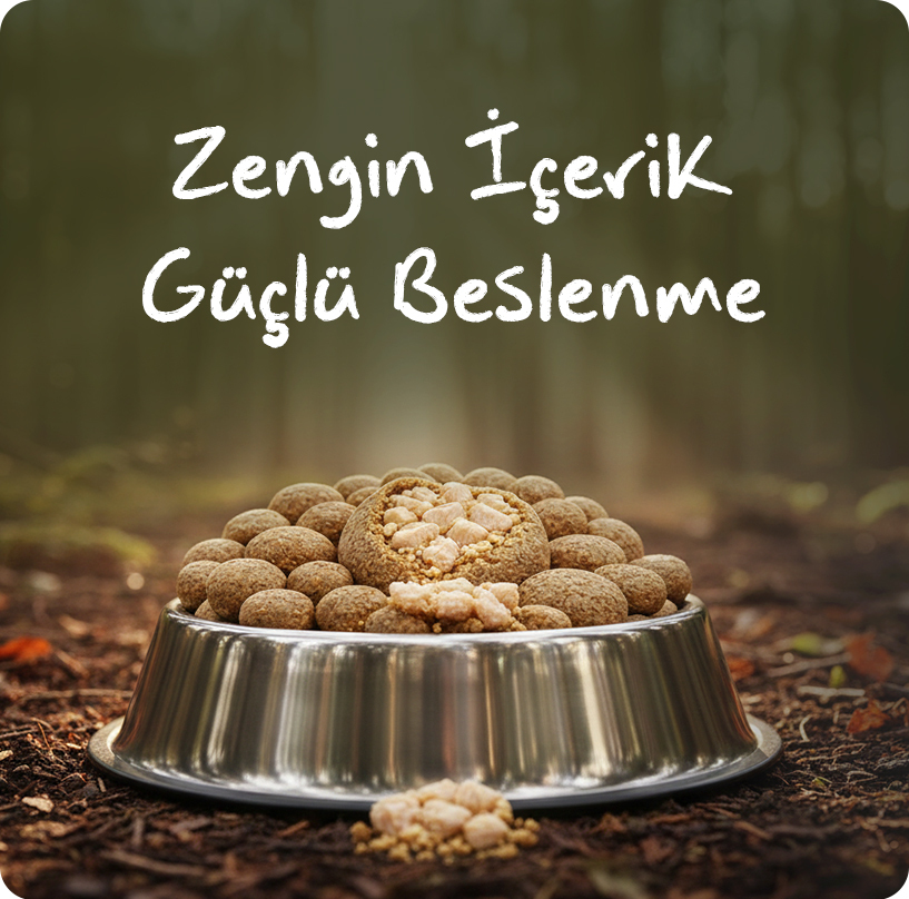 obivan-tavuklu-kedi-maması--a-3-mobil.jpg