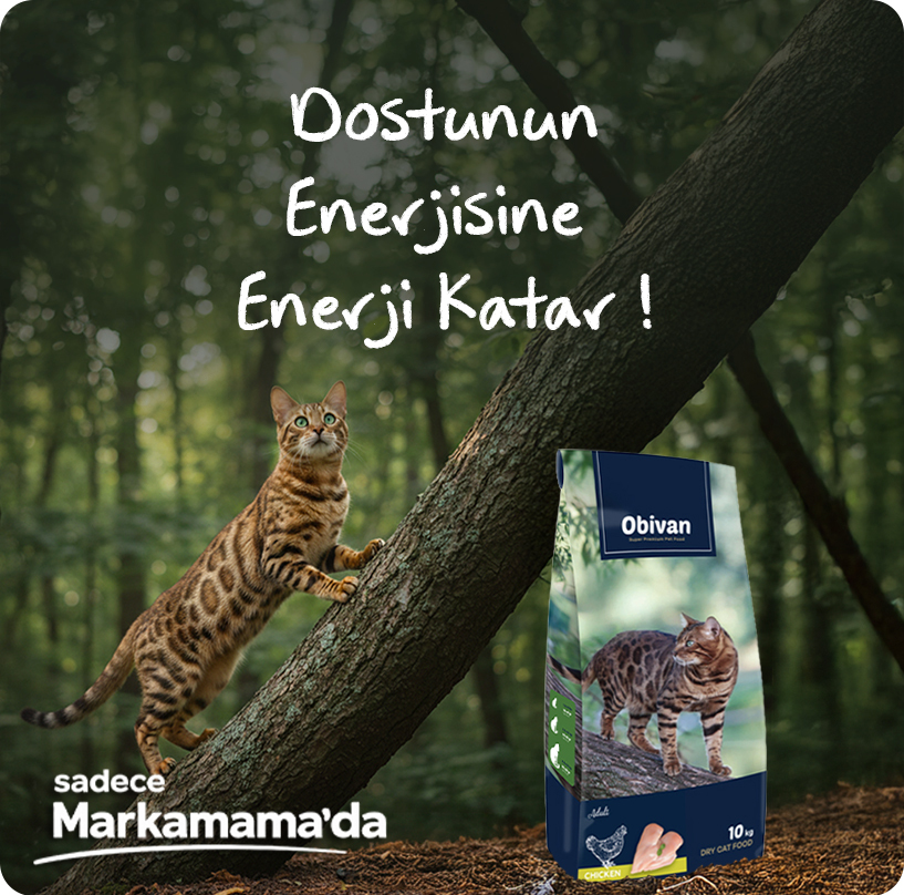 obivan-tavuklu-kedi-maması--aplus-mobil.jpg