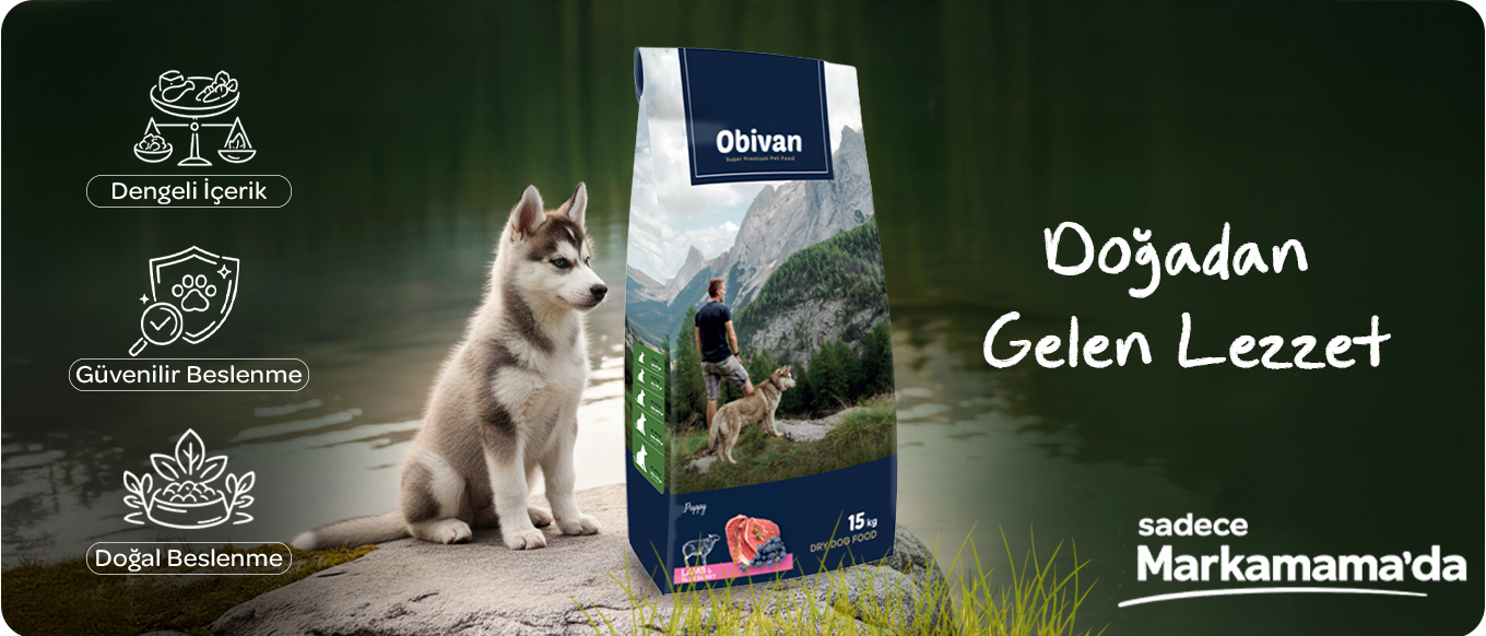 puppy-obivan-aplus.jpg