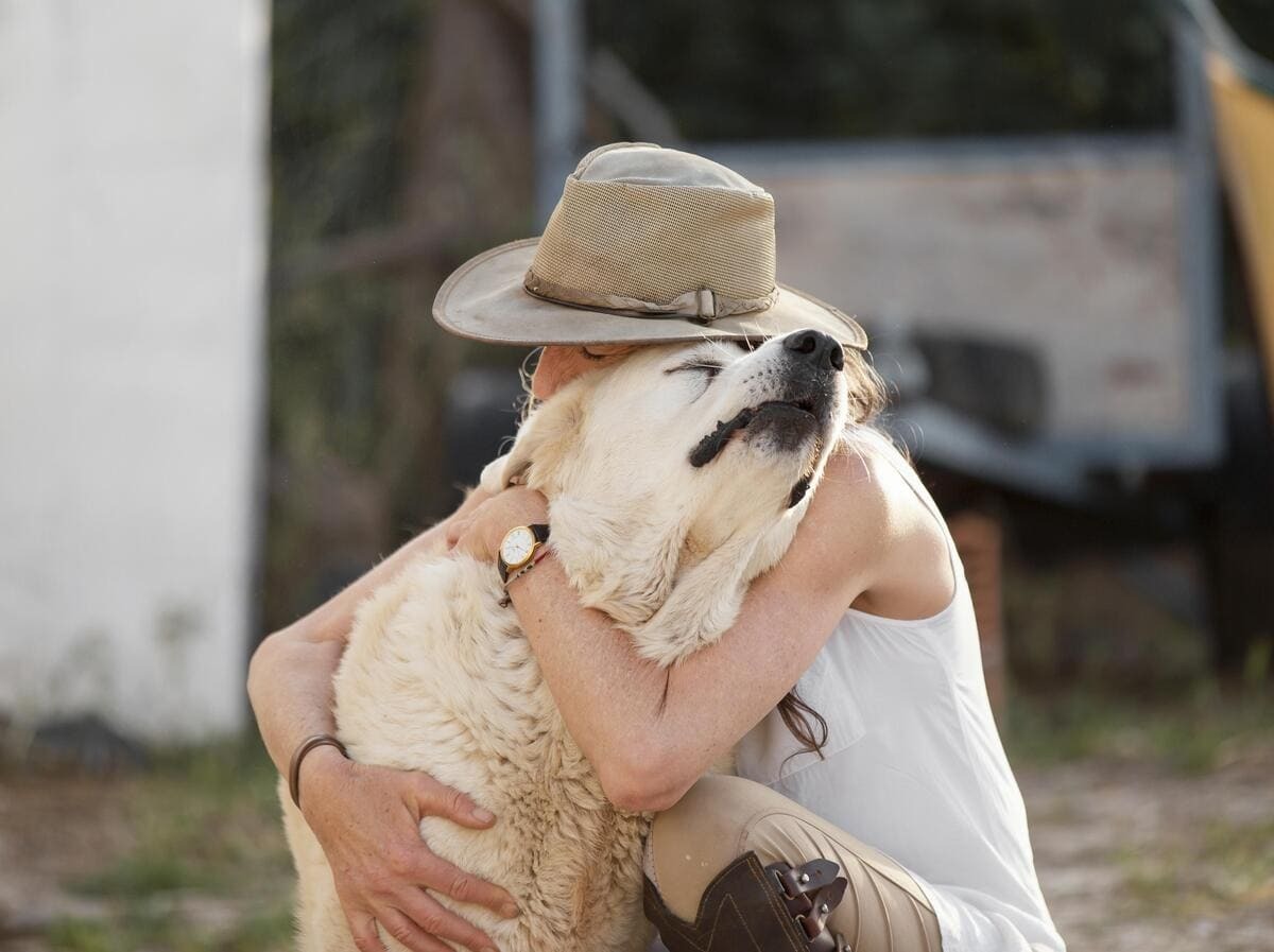birbirine sarılan köpek ve insan