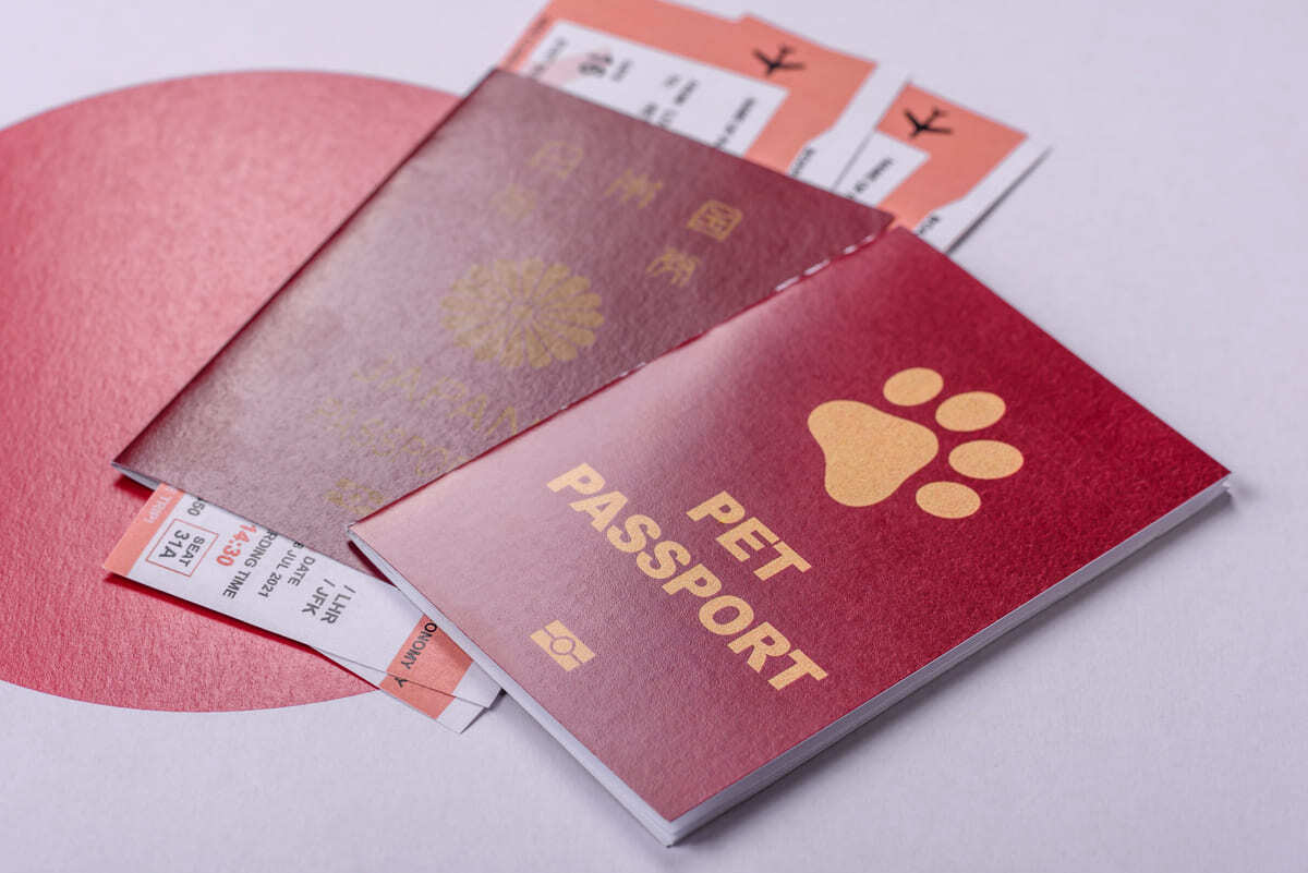 evcil hayvan pasaportu örneği