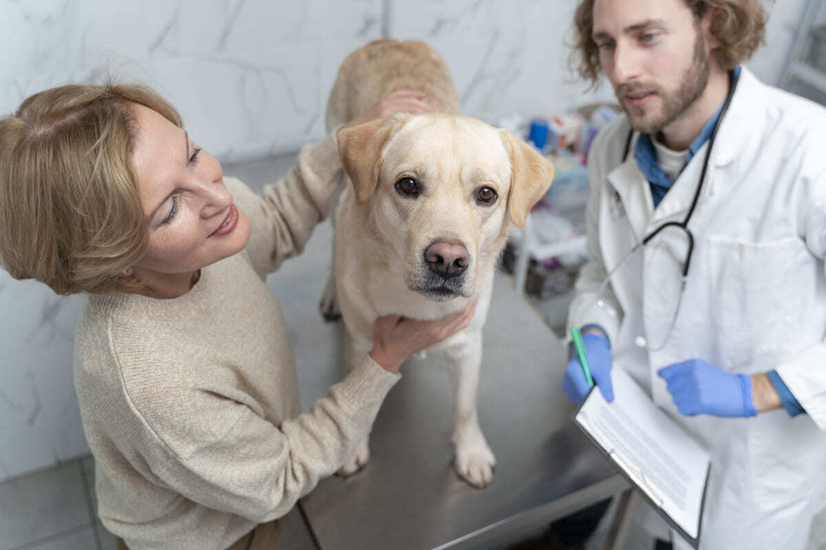 Emziren-Köpekte-Veterinere-Gitmeyi-Gerektiren-Belirtiler.jpg