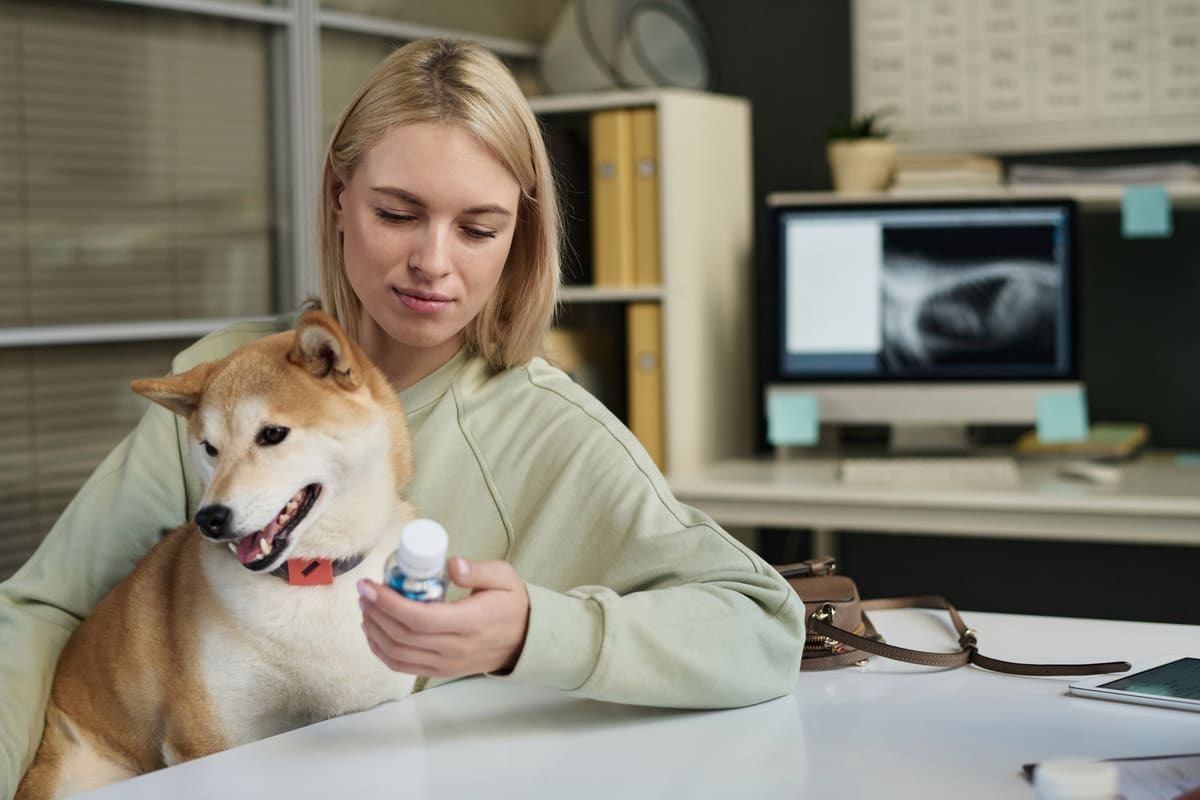 kucağında köpeği ile ilaç şişesini inceleyen kadın