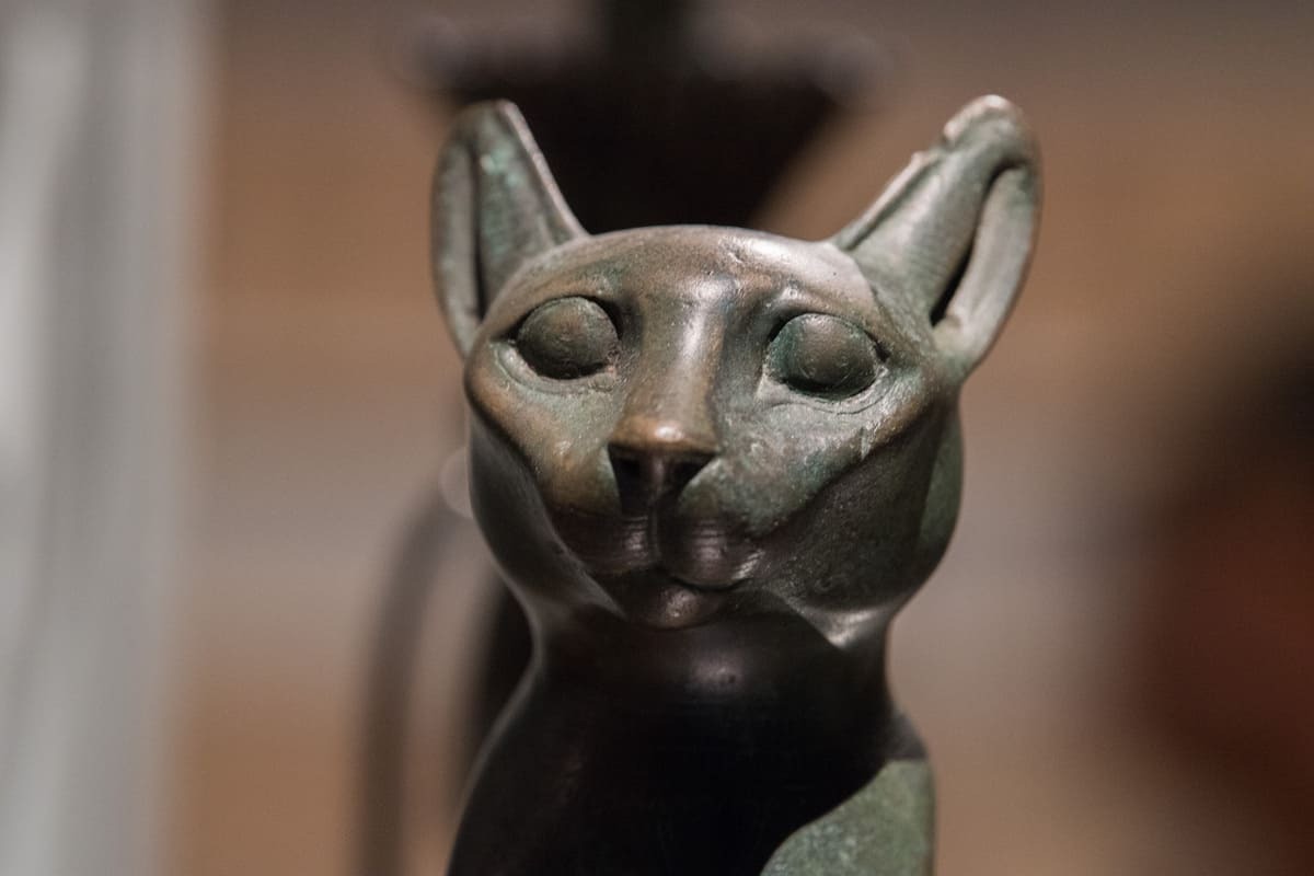 Gizemli-ve-Mitolojik-Siyah-Kedi-İsimleri.jpg