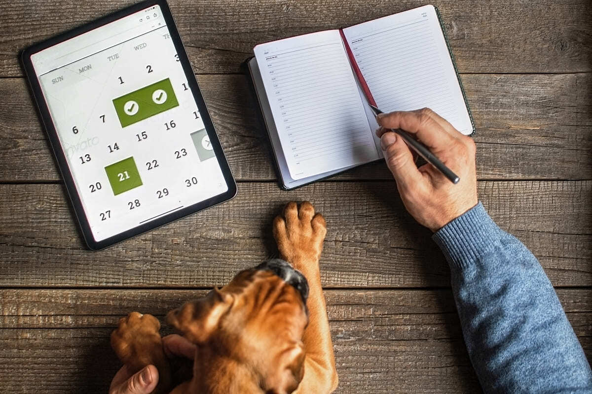 köpeği ile birlikte planlama yapan insan