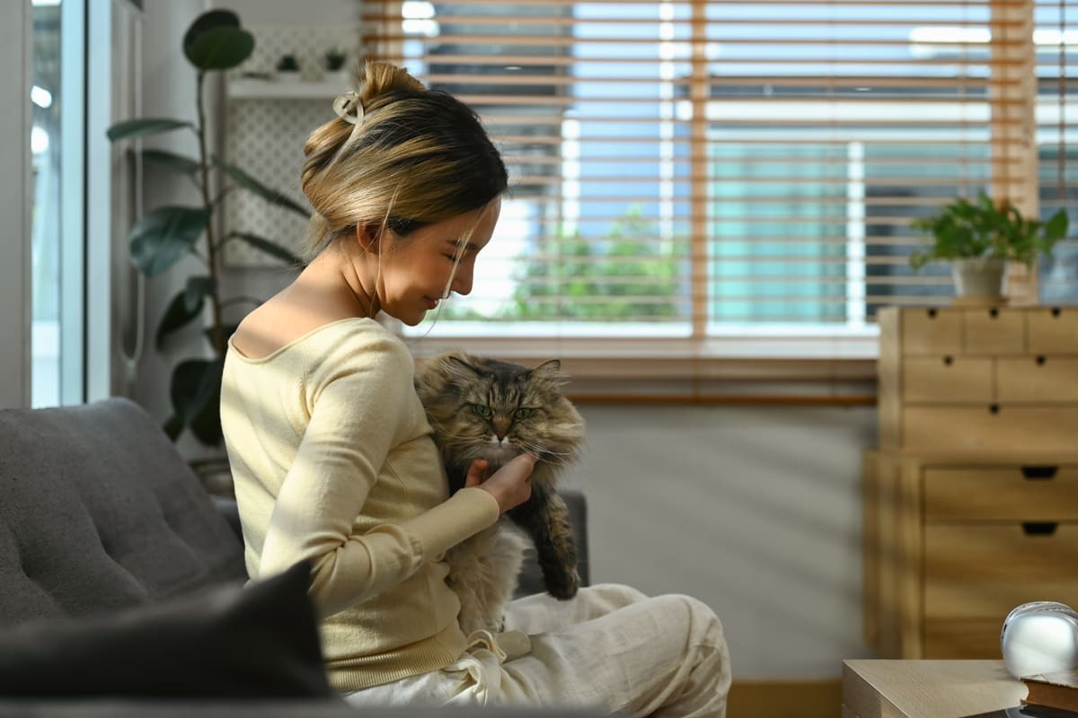 Kedi-Piresi-İnsana-Ne-Zaman-ve-Nasıl-Geçer.jpg