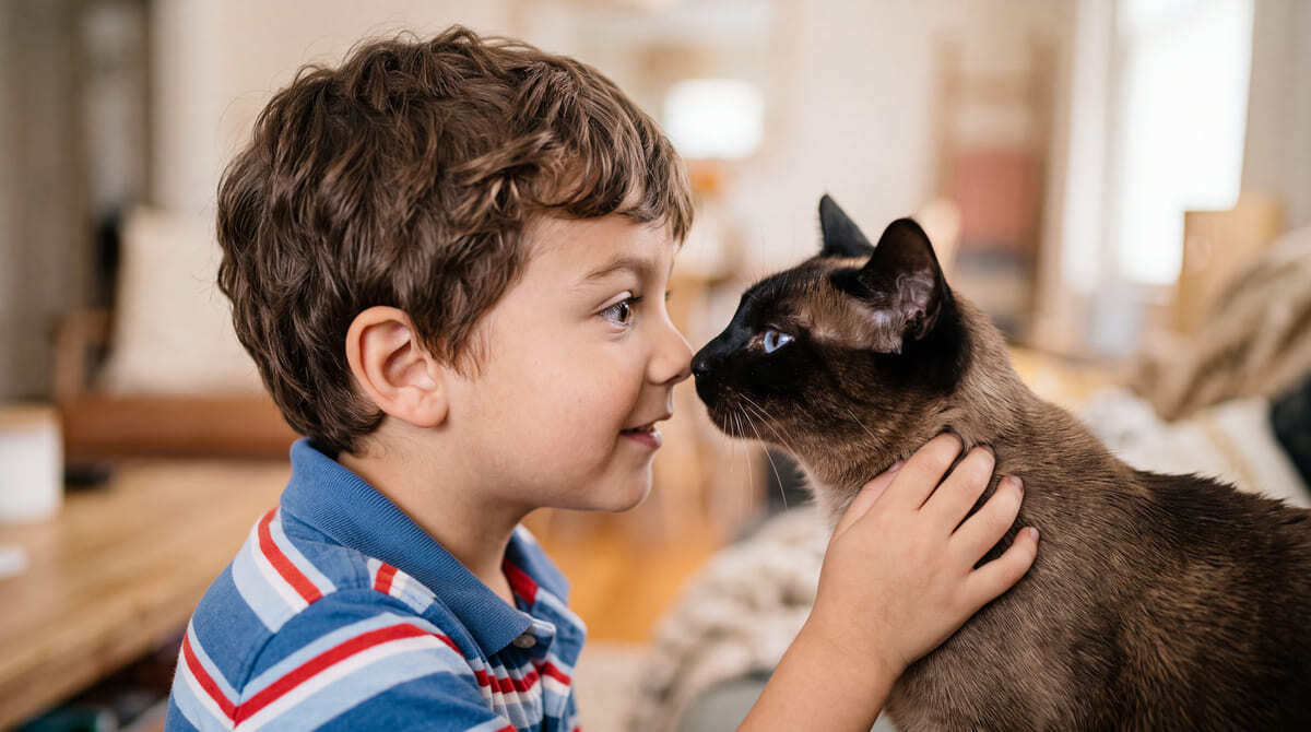 küçük çocukla yüz yüze duran kedi