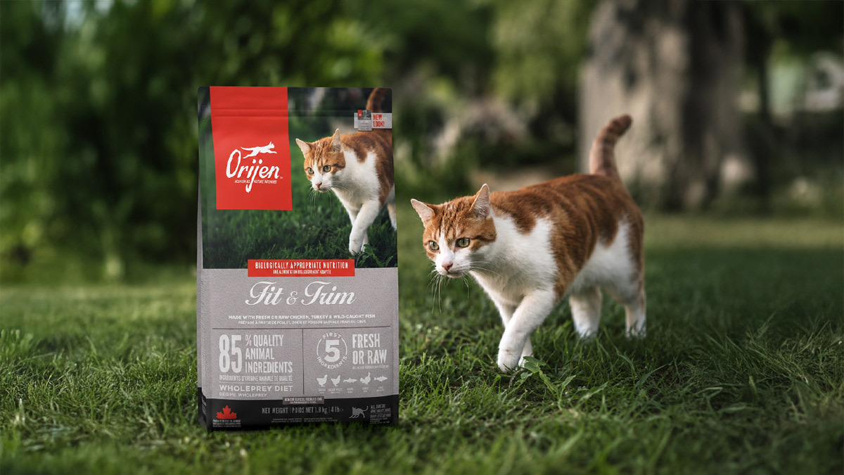 Kilolu-Kediler-İçin-Zayıflatan-Kedi-Mamaları--Orijen-Fit--Trim-Light-.jpg