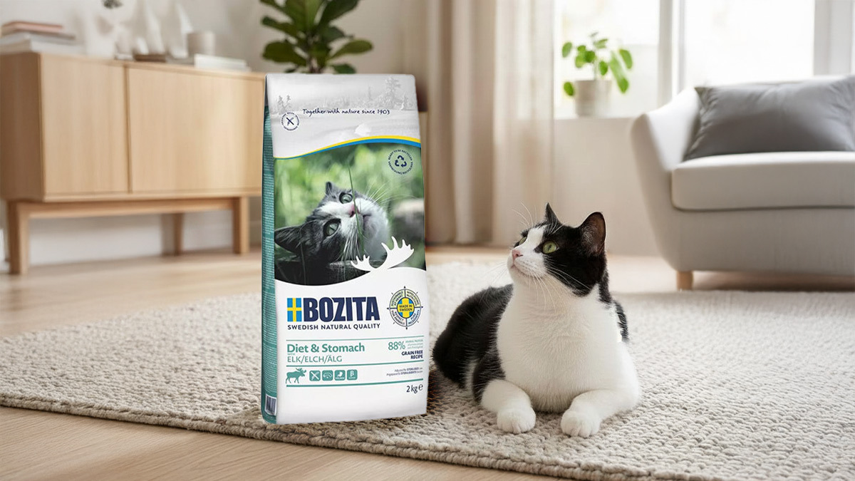 Kilolu-Kediler-İçin-Zayıflatan-Kedi-Mamaları-Bozita-Diet-Stomach.jpg