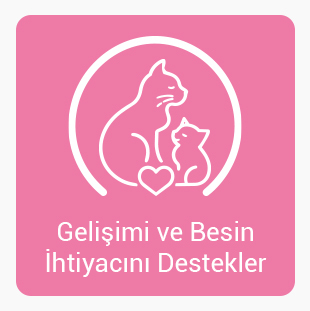 Gelısım.jpg