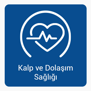 Kalp-ve-dolasım.jpg