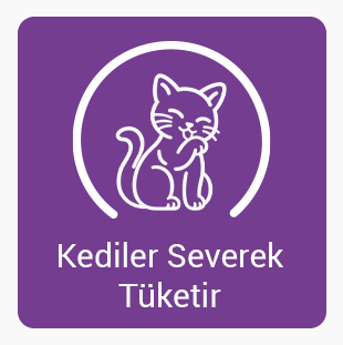 Kediler-severek-tuketır.jpg