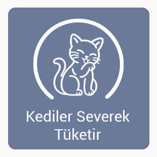 Kediler-severek-tüketir.jpg