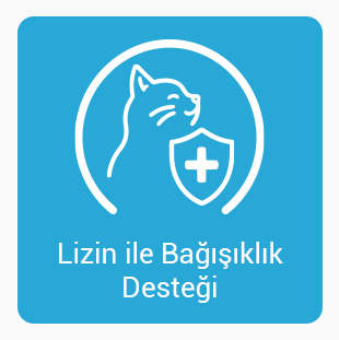Lizin-ile-BAgısıklık.jpg