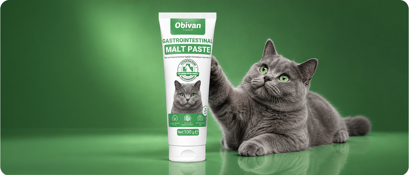 Obivan-Gasto-Malt-a2.jpg