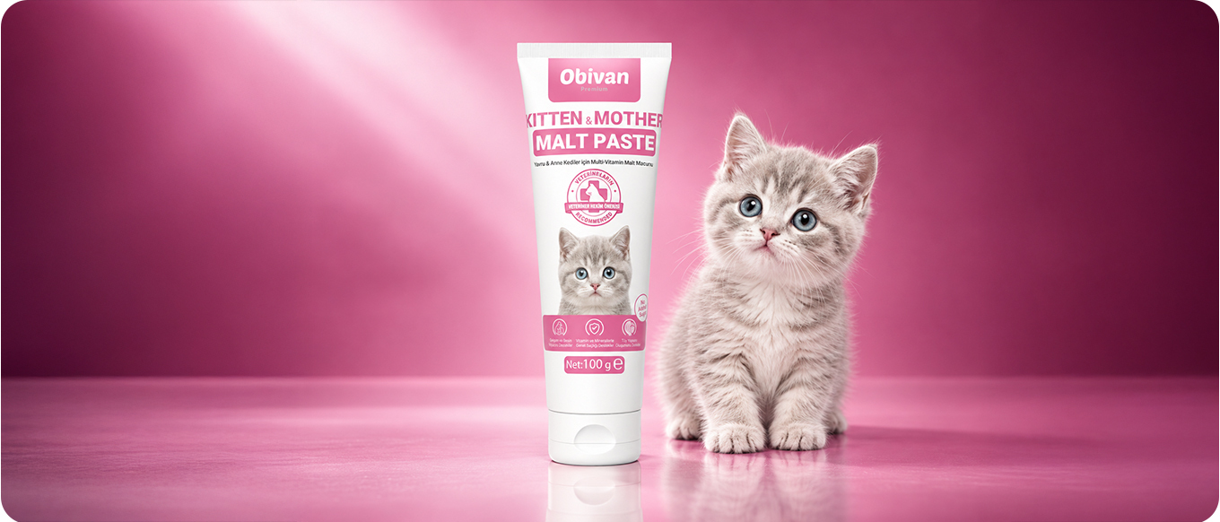 Obivan-KittenMother-Malt-a2.jpg