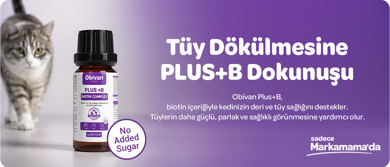 Obivan-Plus-B-a1.jpg