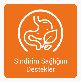 Sındırım-Saglıgı.jpg