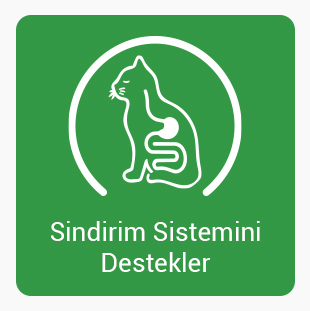 Sındırım-sıstemı.jpg