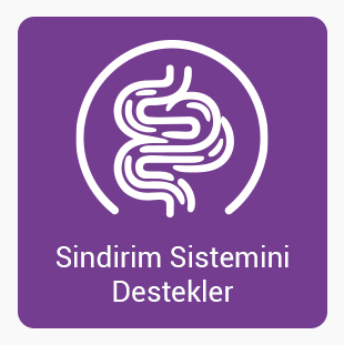Sındırımı-Destekler-1789641427.jpg