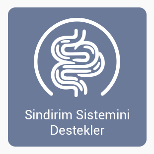 Sındırımı-Destekler.jpg