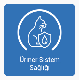 Urıner-Sısteö.jpg