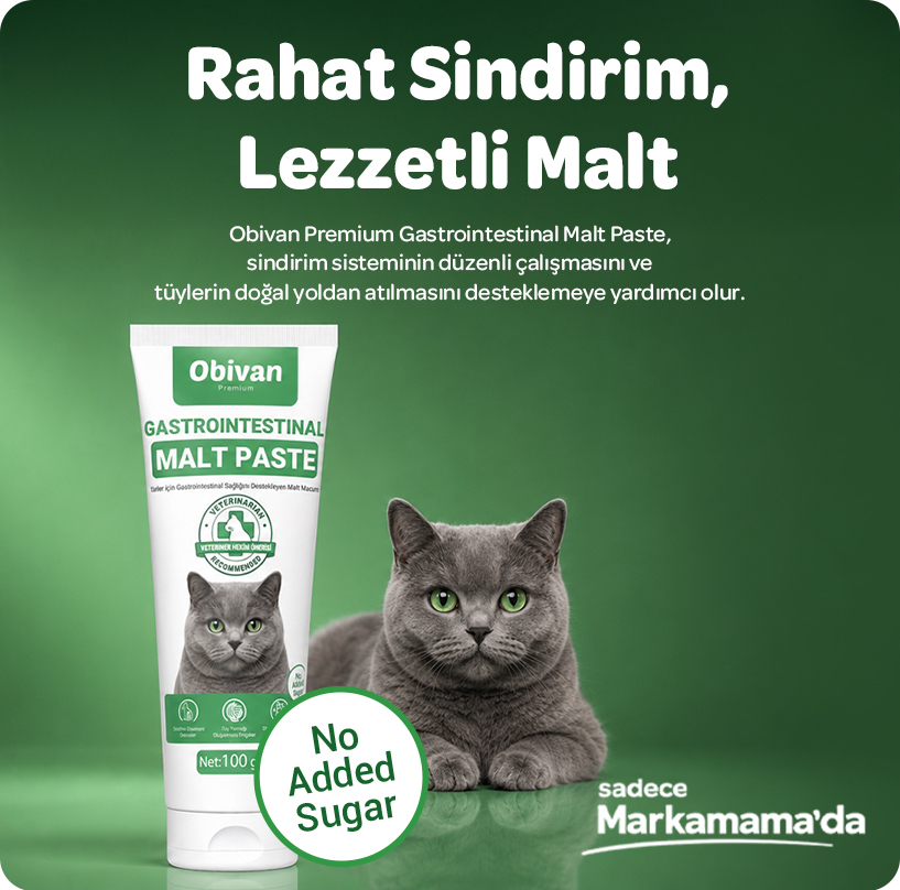 obivan-Gasto-Malt-Mobil.jpg
