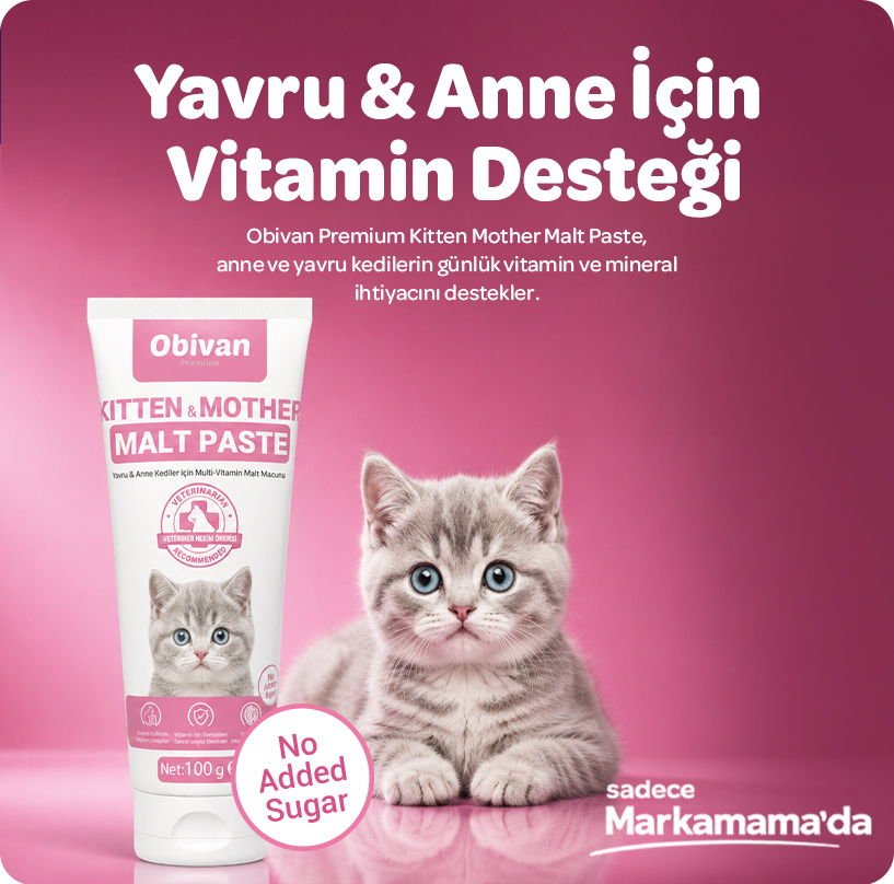 obivan-kittenmother-Malt-Mobil1.jpg