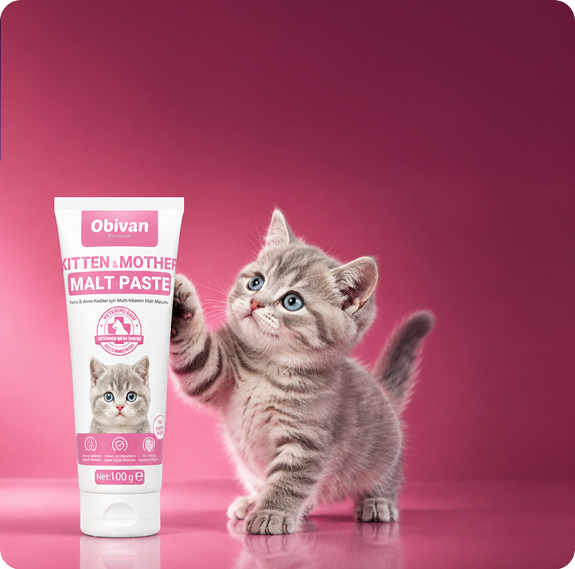 obivan-kittenmother-Malt-Mobil2.jpg