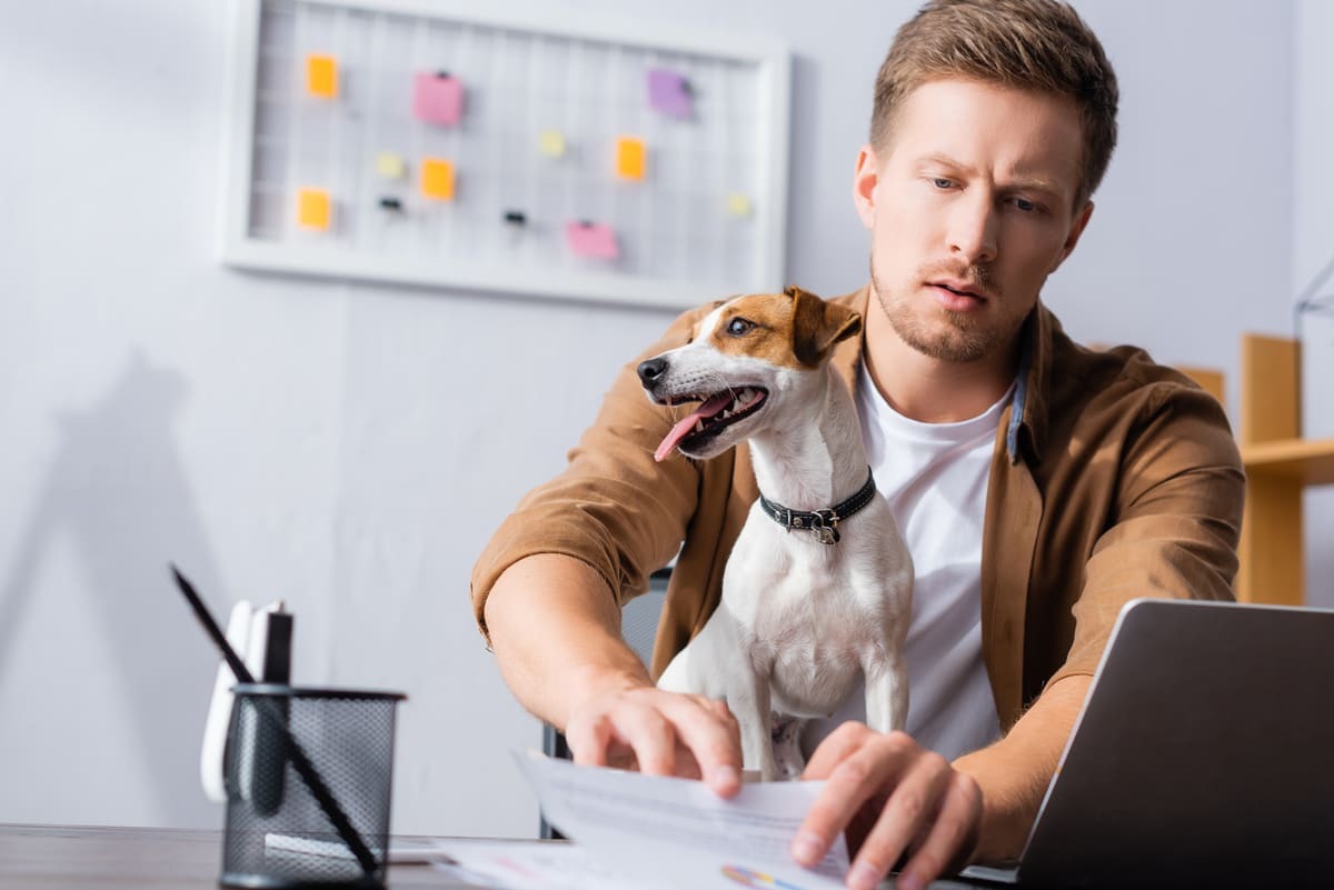 köpeği ile birlikte evrak düzenleyen insan