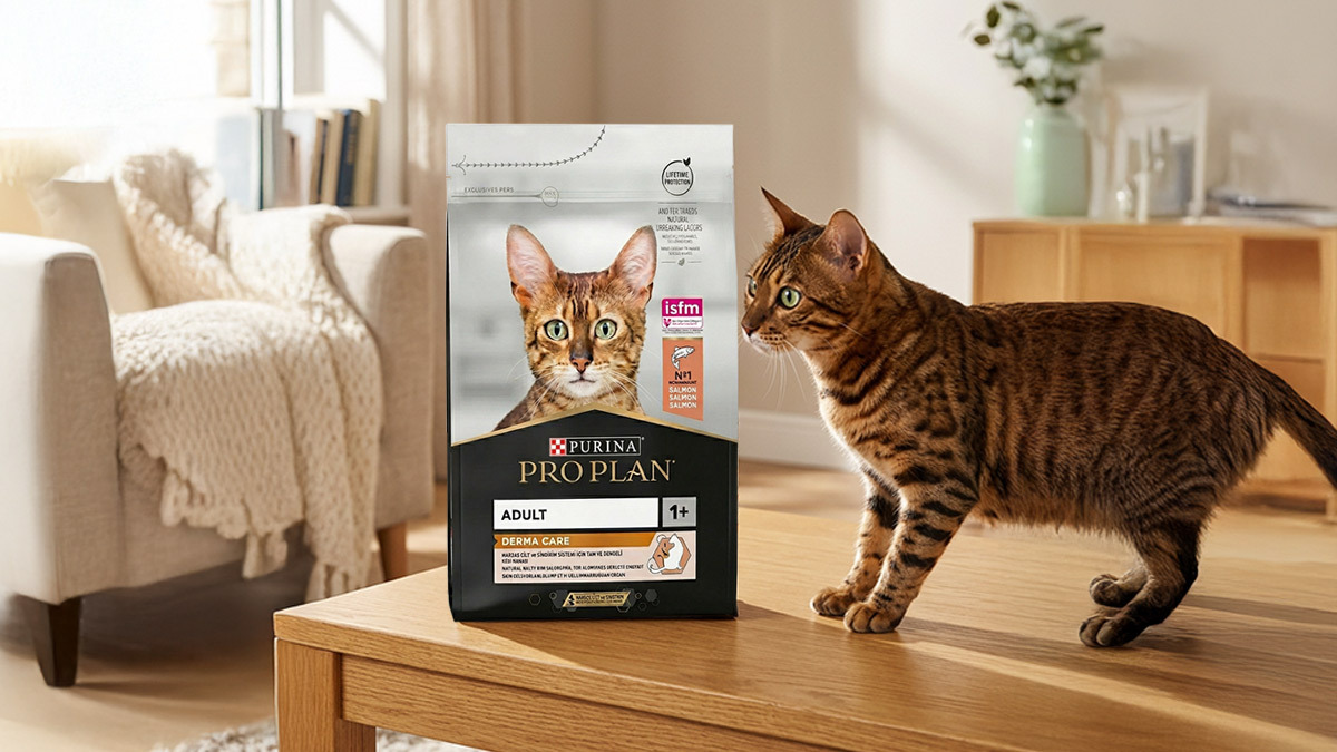 Tüy-Dökülmesini-Önleyici-Kedi-Mamaları-Proplan-Derma-Care.jpg