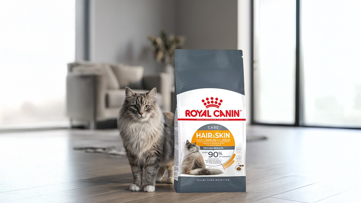 Tüy-Dökülmesini-Önleyici-Kedi-Mamaları-Royal-Canin-Hair--Skin.jpg
