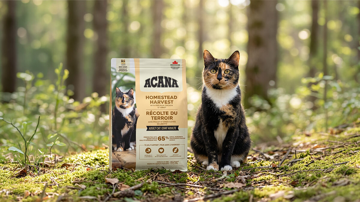 Zayıf-Kedilere-Kilo-Aldıran-Kedi-Mamaları--Acana-Homestead-Harvest-Kedi-Maması-.jpg