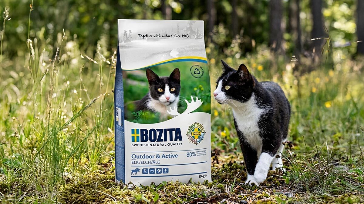 Zayıf-Kedilere-Kilo-Aldıran-Kedi-Mamaları--Bozita-Kedi-Mamaları.jpg