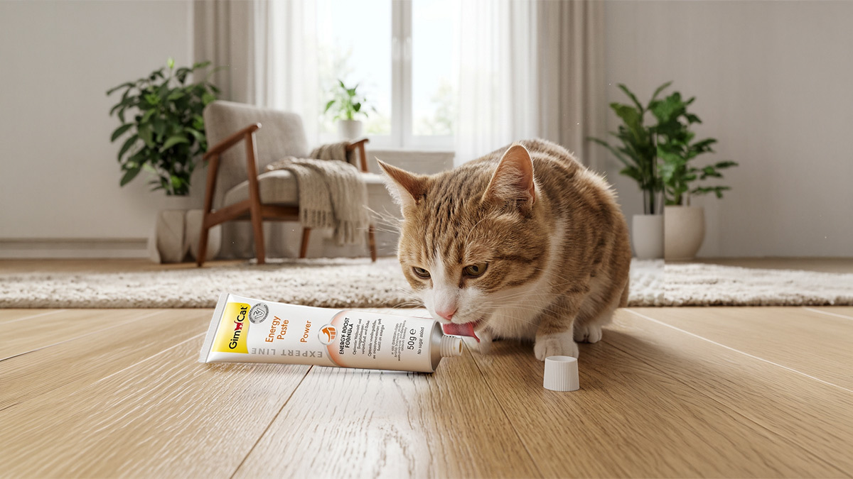 Zayıf-Kedilere-Kilo-Aldıran-Kedi-Mamaları-Gimcat-Energy-Paste-Kedi-Maltı-.jpg