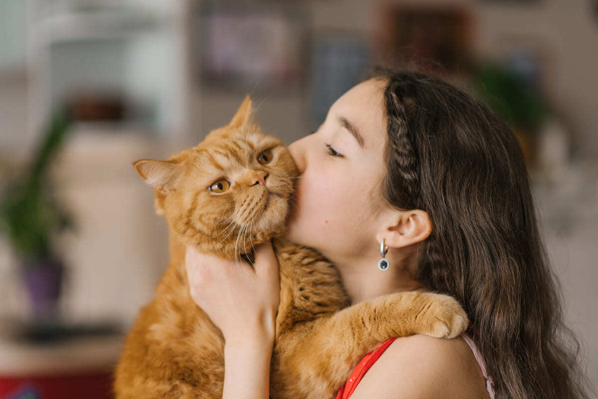 kedisini öpen çocuk
