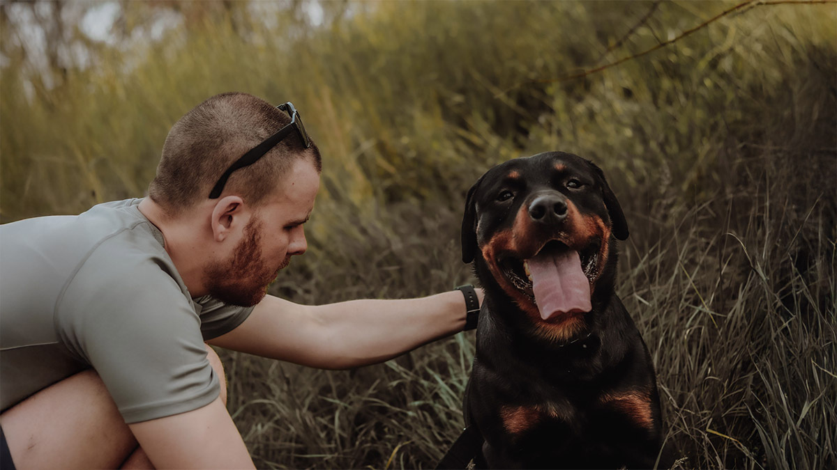 rottweiler-bakimi.jpg