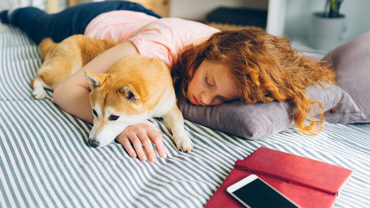 Köpeğinizle Birlikte Uyumak Doğru mu?